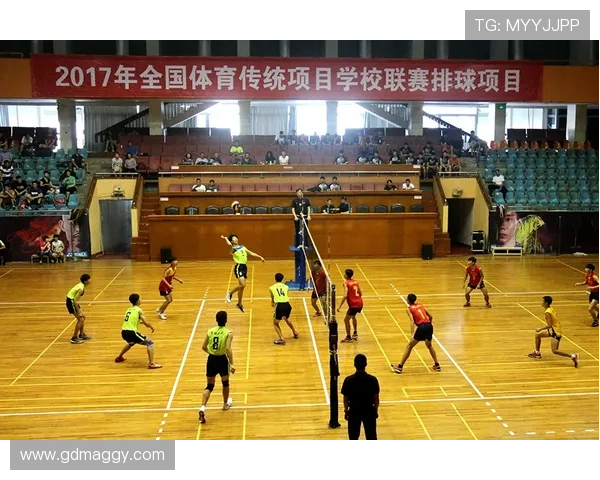 中国体育联赛有哪些（中国体育联赛有哪些项目）sports