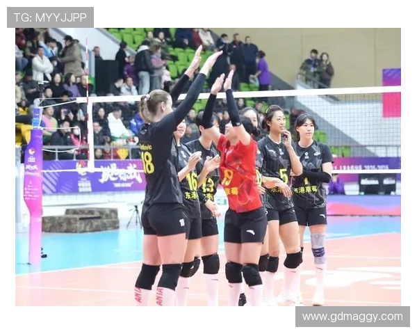 天津体育频道排球联赛（天津体育频道在线直播观看排球）sports